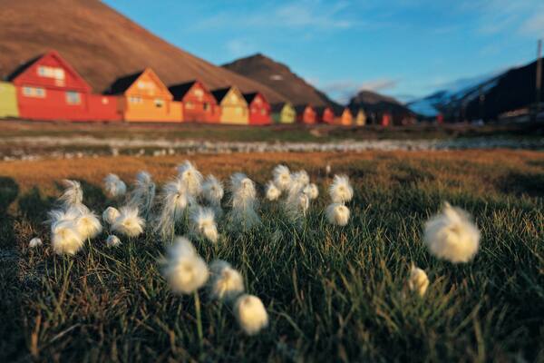 Häuser von Longyearbyen Wenige Häuser in Frühlingslandschaft