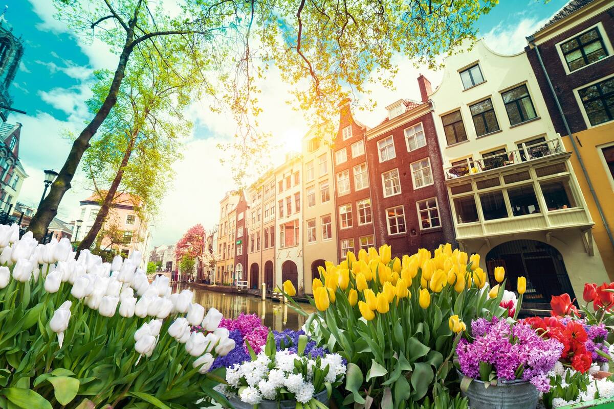 Mit AIDAaura nach Amsterdam