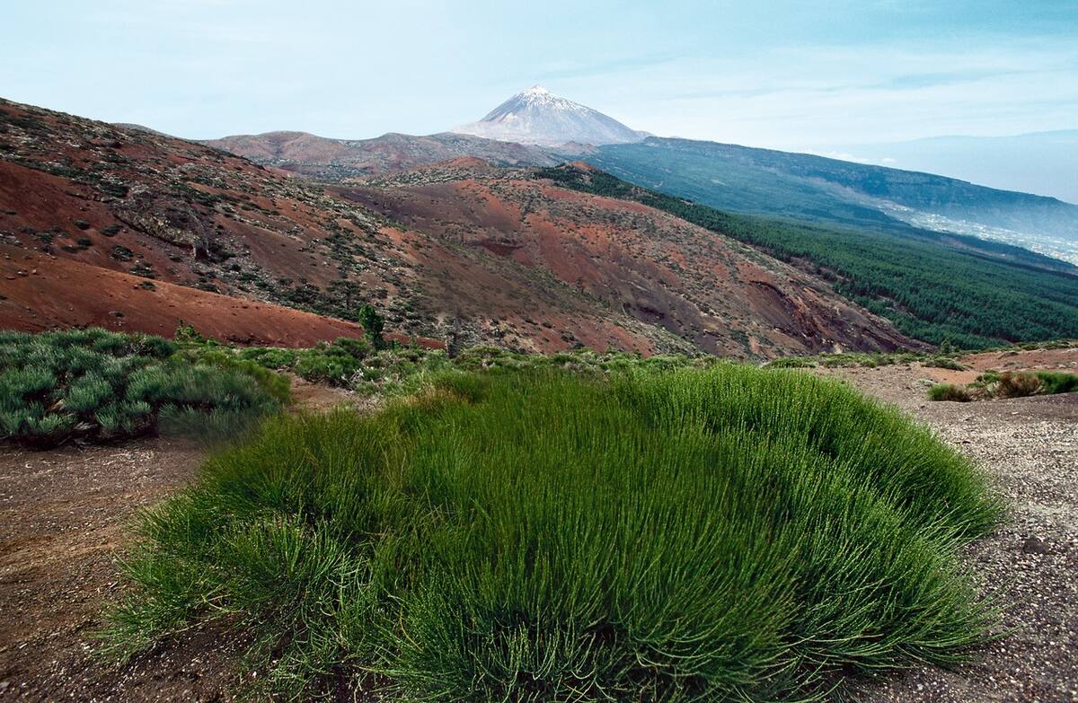 Vulkan Teide auf Teneriffa