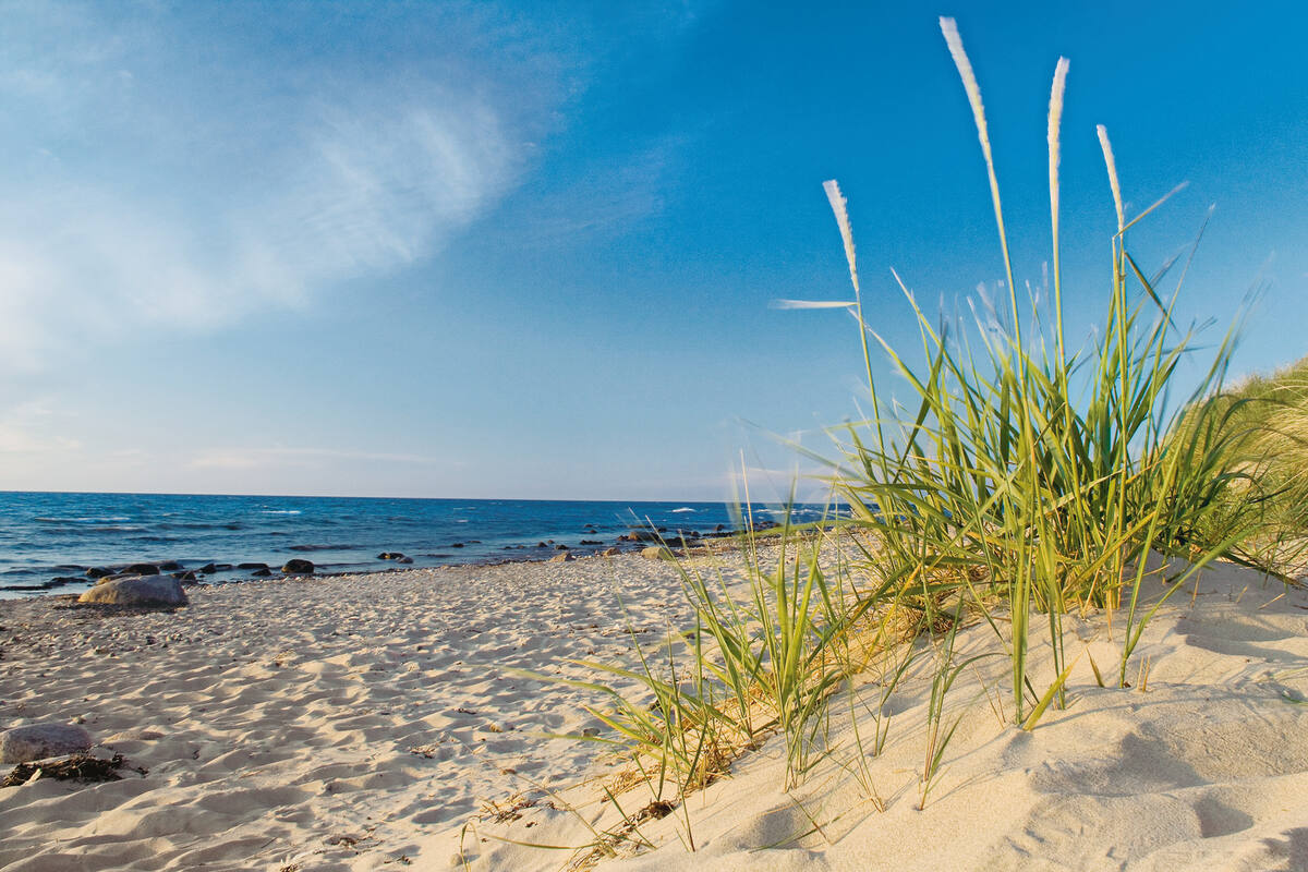 Ostsee Kreuzfahrten mit Strand und Dünen