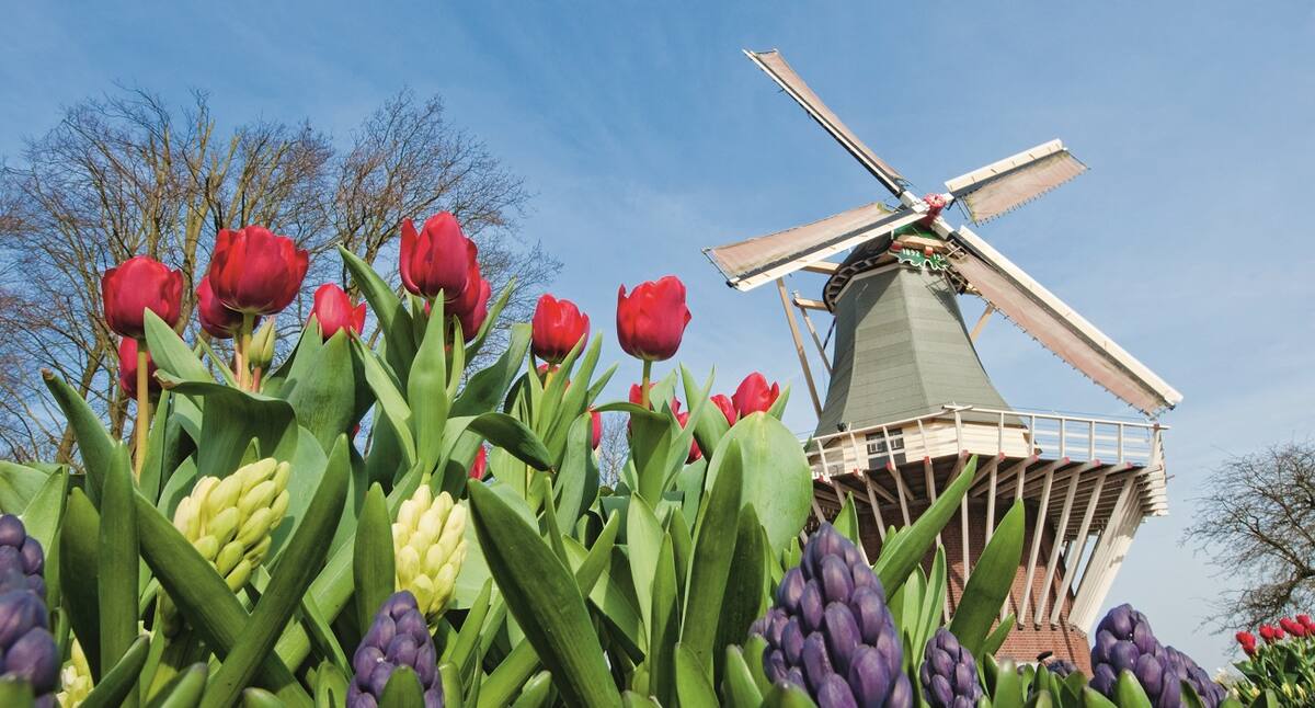 Ausflug zu einer Windmühle während einer Kreuzfahrt nach Amsterdam
