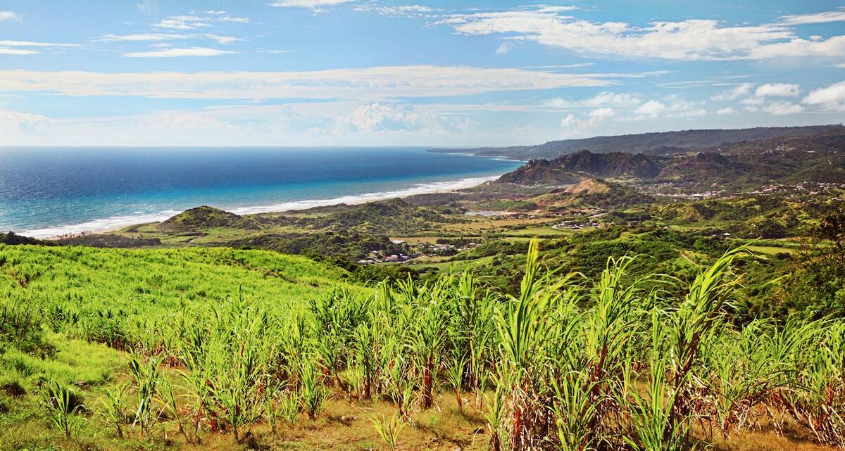 Kreuzfahrt Barbados Ausflüge