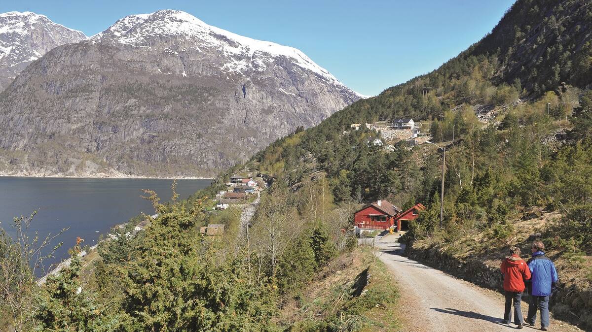 Wandern im Eidfjord Kreuzfahrt Aktivitäten