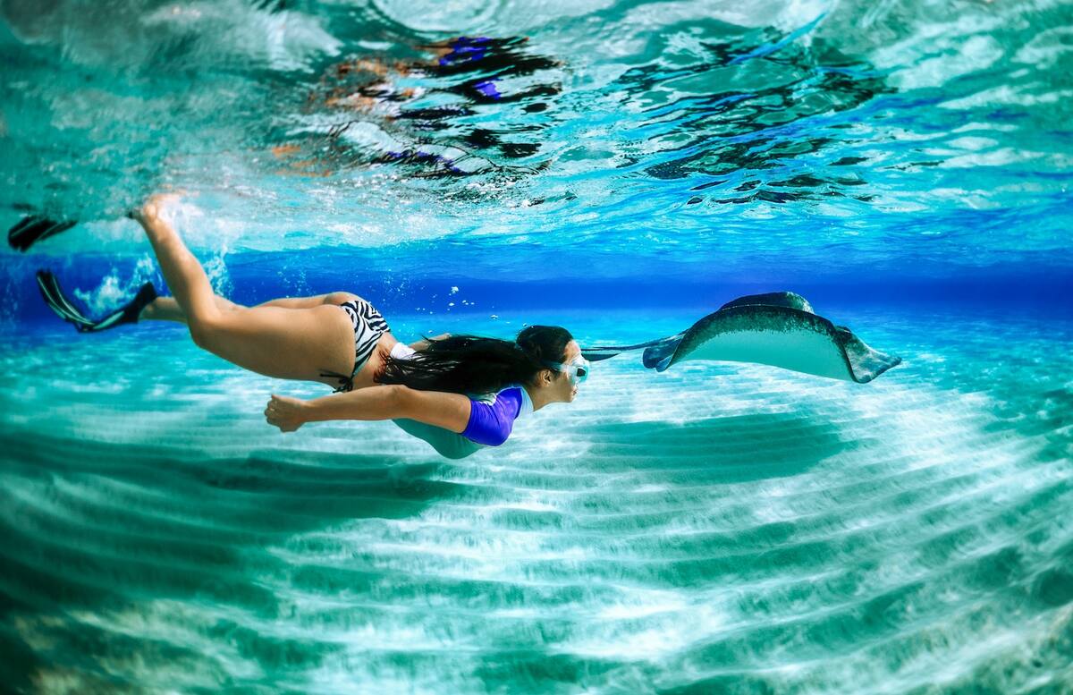 Eine Frau taucht mit einem Rochen