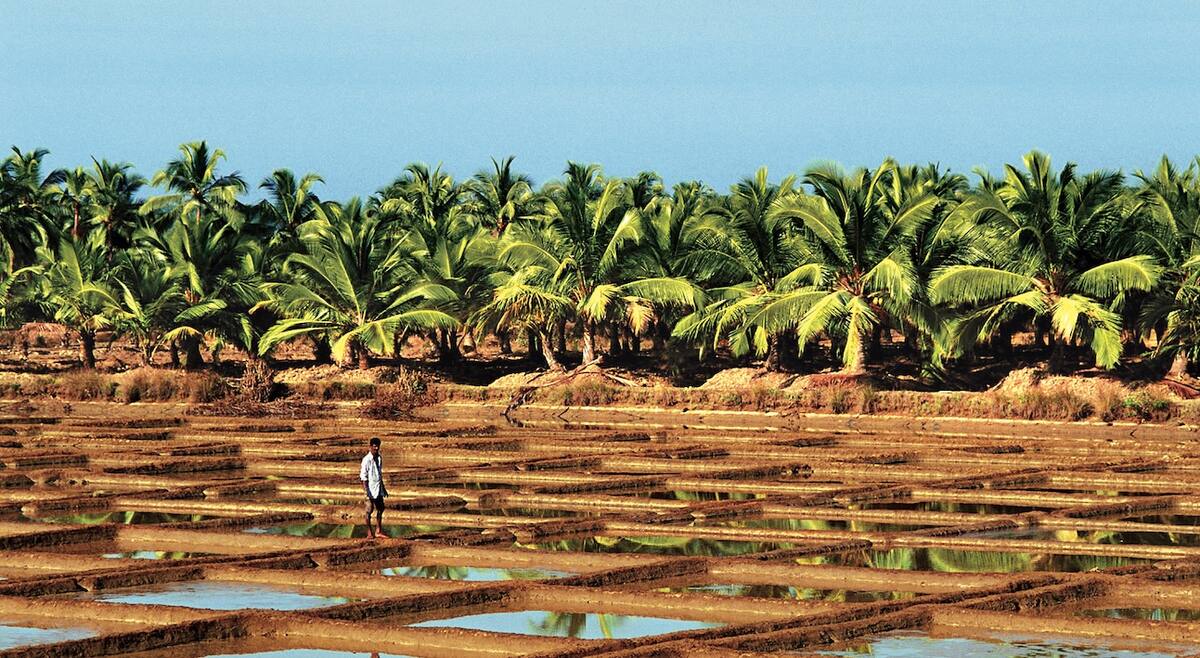 Kreuzfahrt nach Goa: Ausflüge