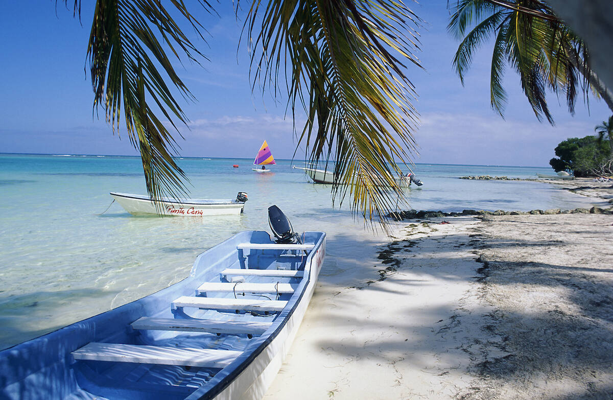 Boot, Palmen und Meer