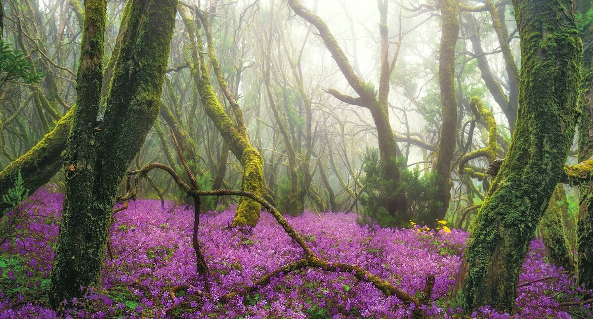 Aktivitäten auf La Gomera