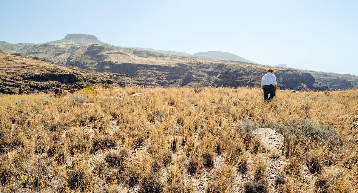 La Gomera Wandern auf Kreuzfahrt