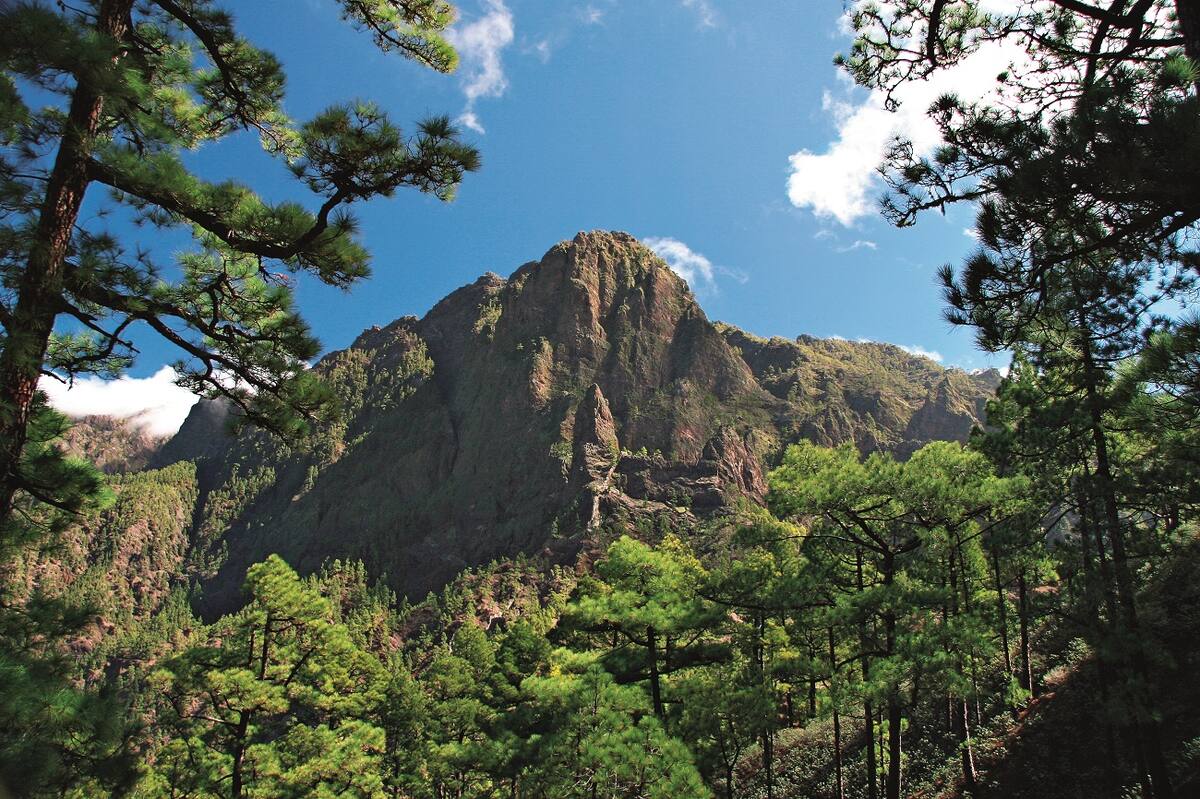 Berglandschaft auf La Palma