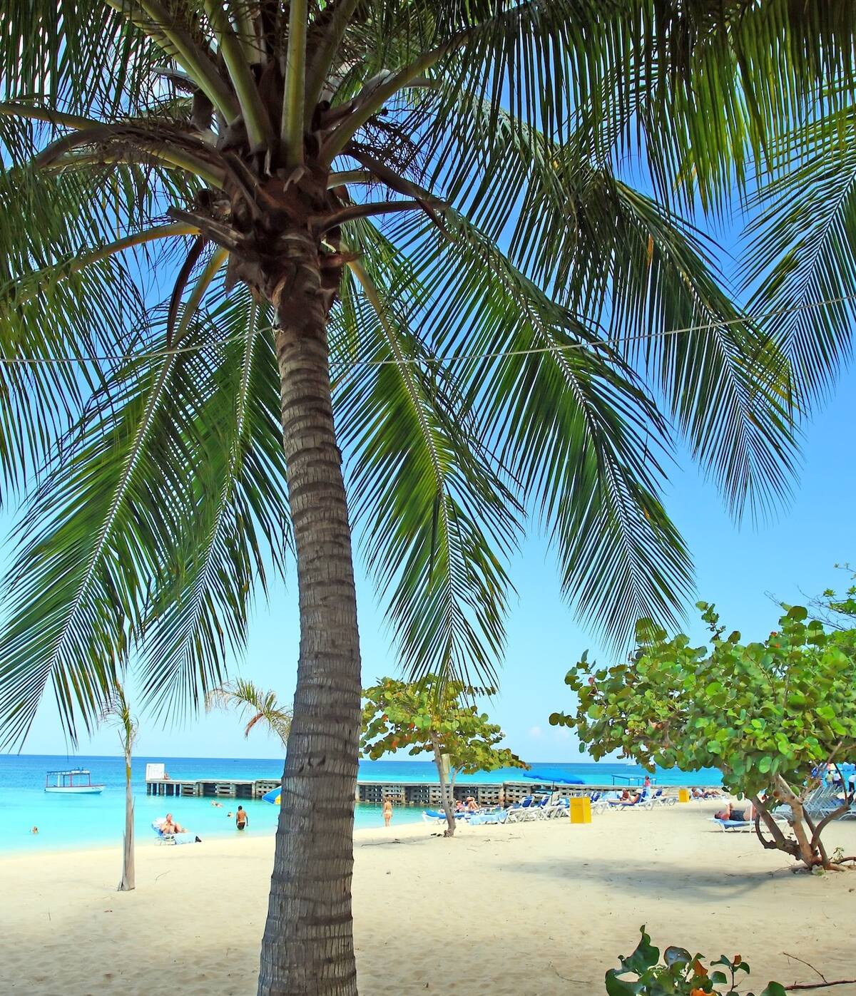 Kreuzfahrt Bild Doctor's Cave Beach