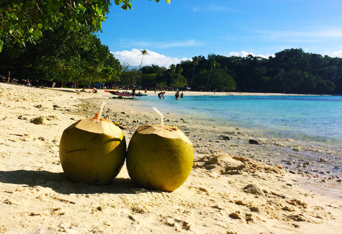 Am Strand stehen zwei Kokosnüsse