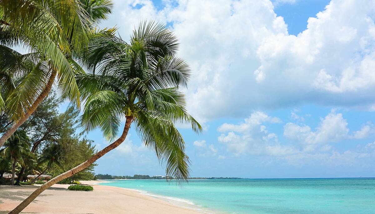 Kreuzfahrt Scarborough / Tobago Strand Ausflug