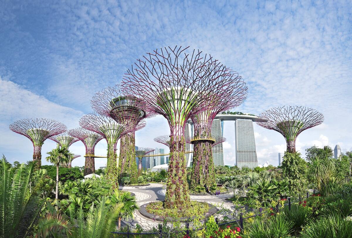 Angelegter Garten in Singapur