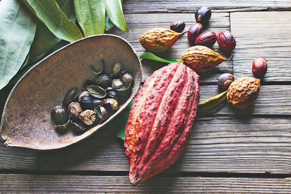 Kakaobohnen auf einem Tisch