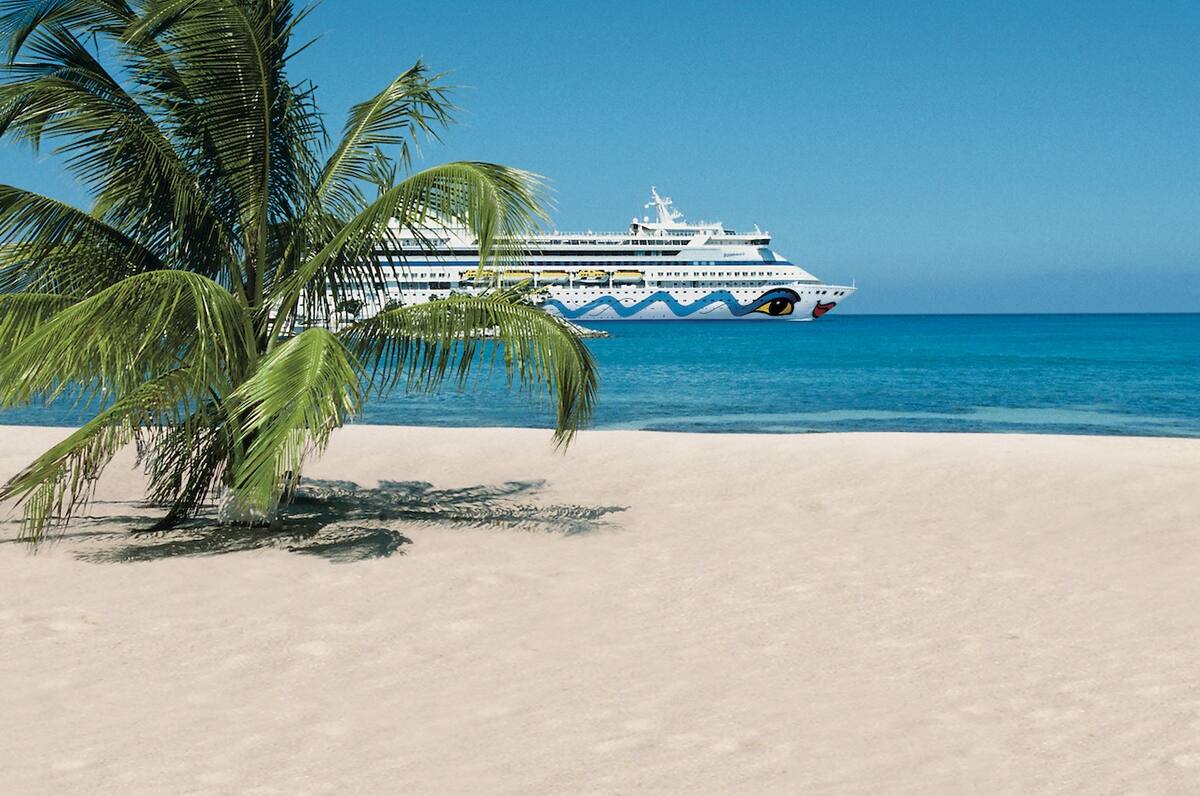 AIDA Schiff fährt im Meer, im Vordergrund steht eine Palme