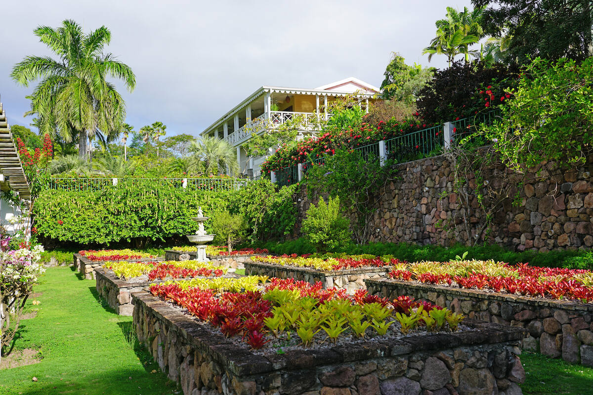 Botanical Gardens in St. Kitts
