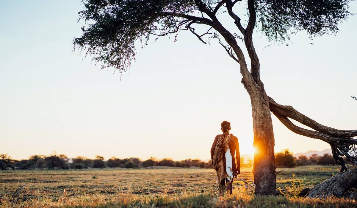 Ein Mann steht im Sonnenuntergang an einem Baum