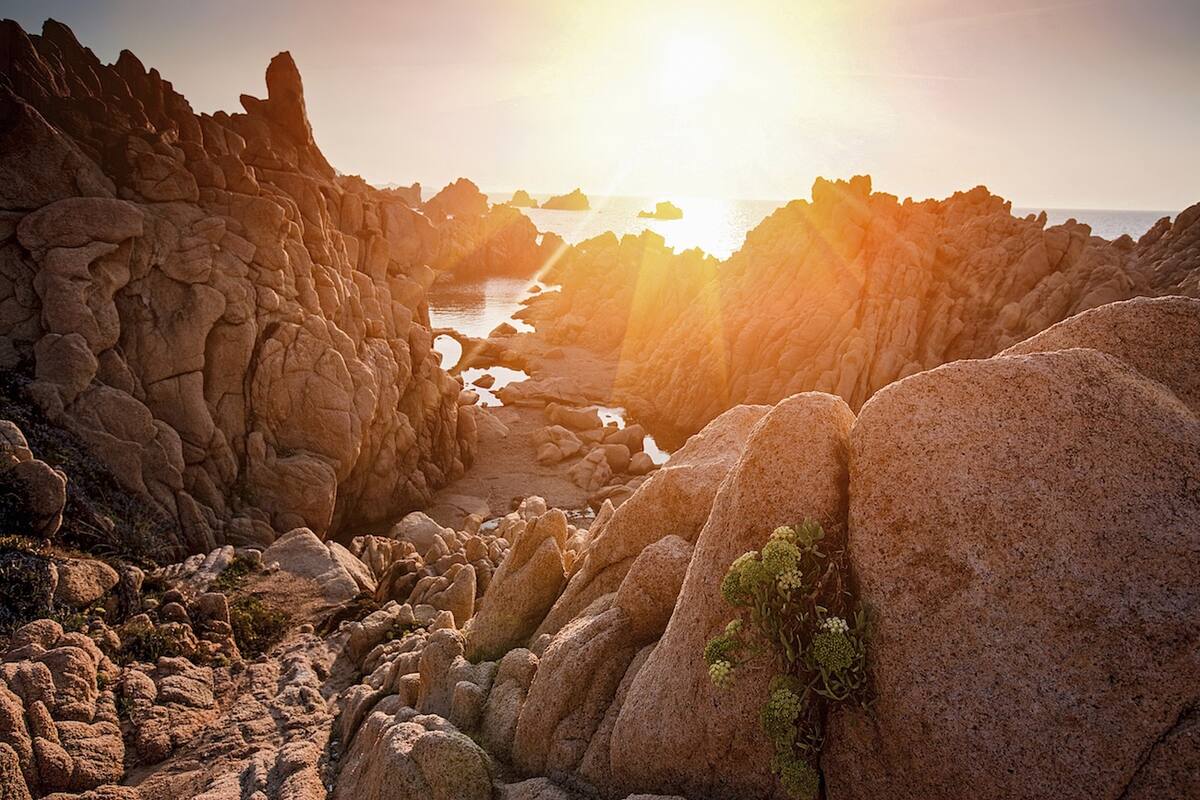 Felsige Küste im Sonnenuntergang