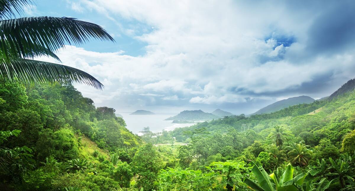 Regenwald: Aktivitäten Seychellen