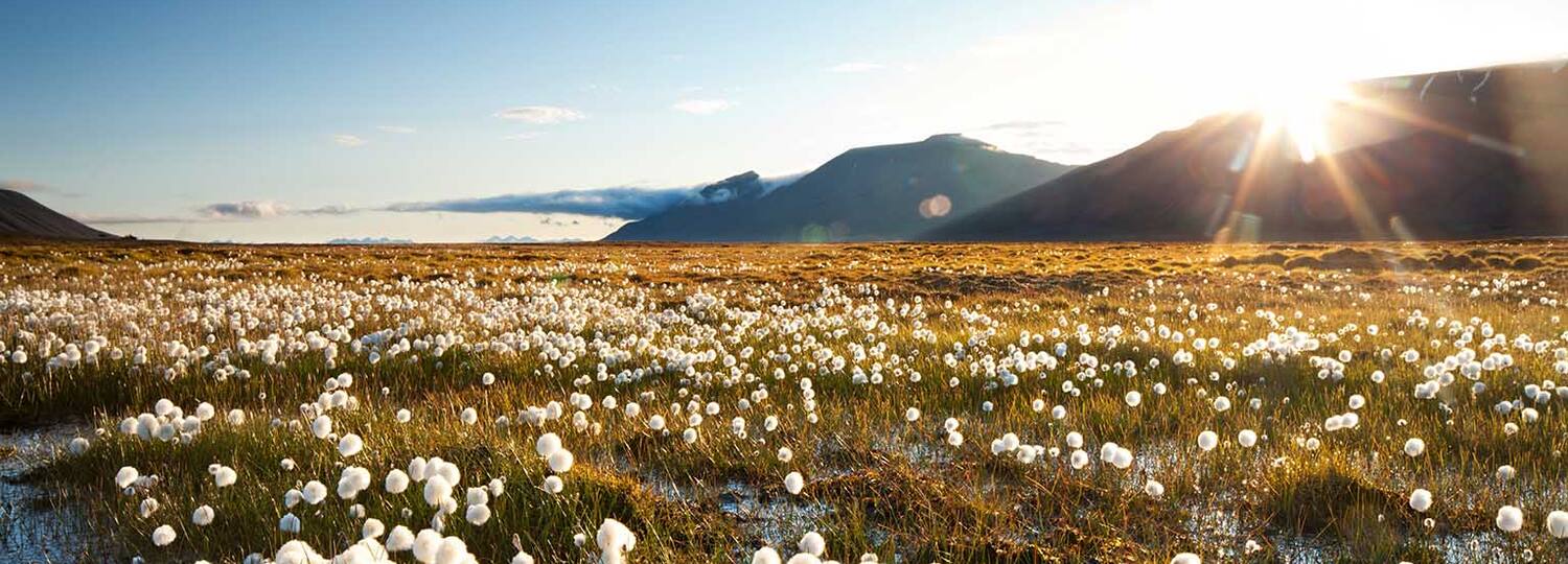 Highlights am Polarkreis von Kiel nach Hamburg