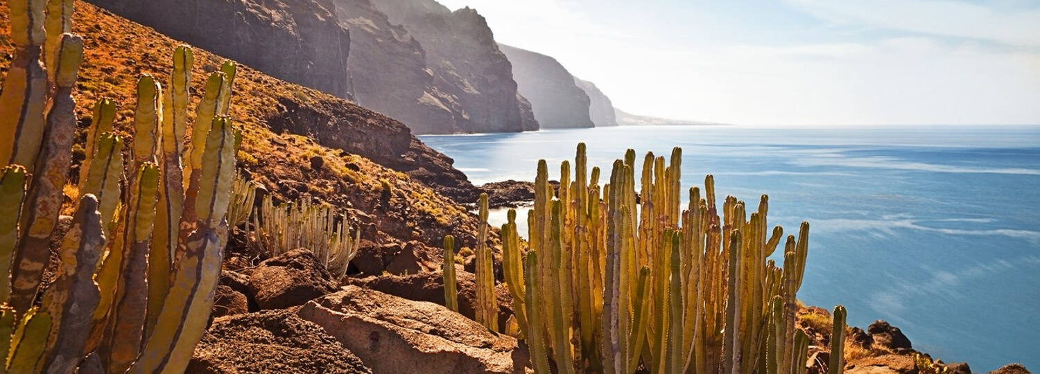 Kanaren & Madeira ab Teneriffa