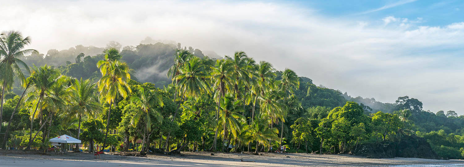 Mittelamerika & Karibik ab Jamaika 2 mit AIDA