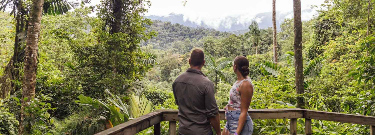 Mittelamerika & Karibik ab Jamaika mit AIDA