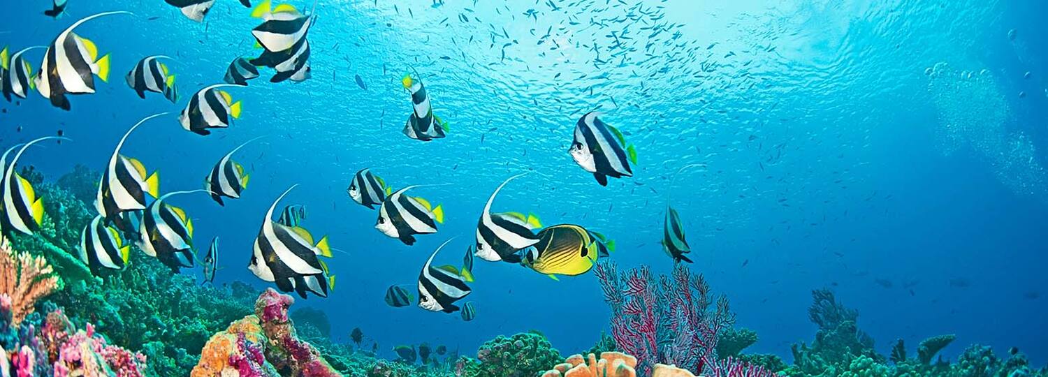 Von den Seychellen nach Korfu 1