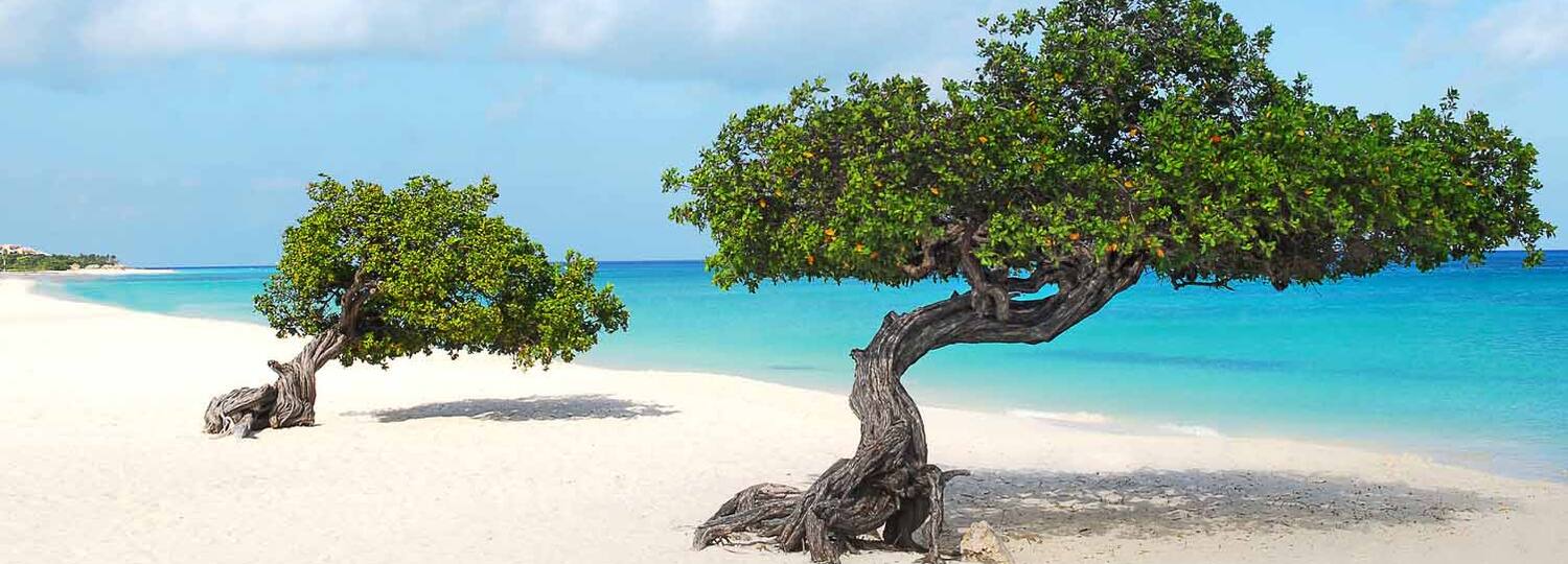 Von Martinique nach Hamburg 1 mit AIDA