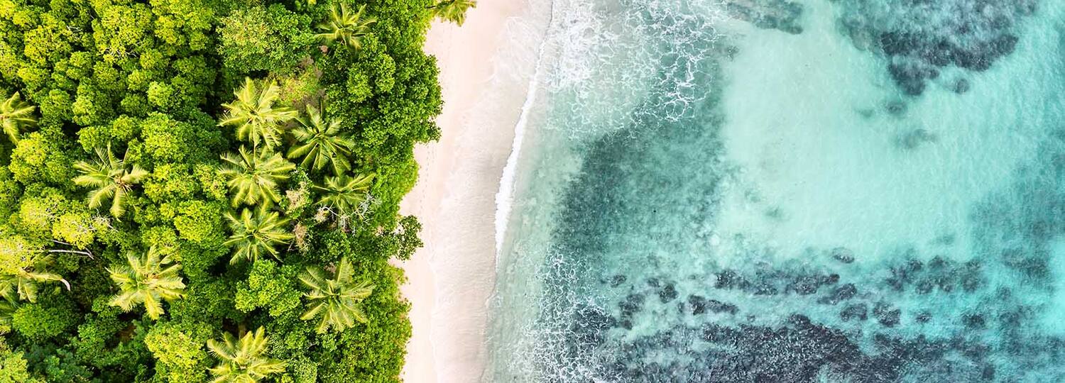 Weltenbummler Kanaren, Südafrika & Mauritius