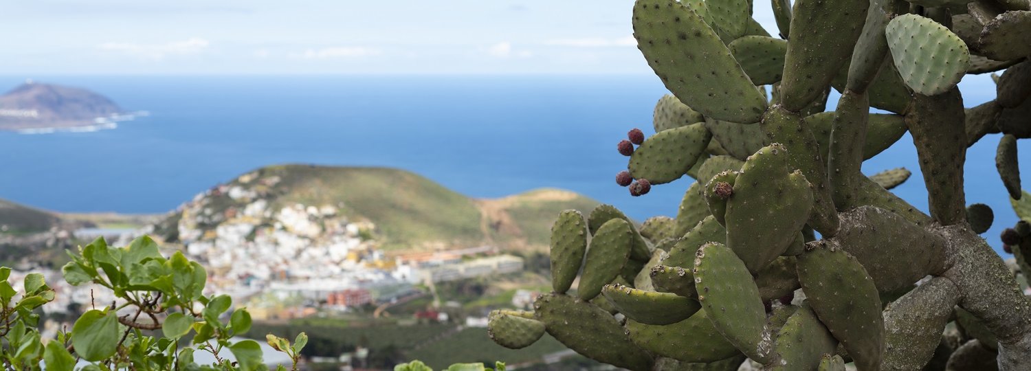 Kreuzfahrt Gran Canaria