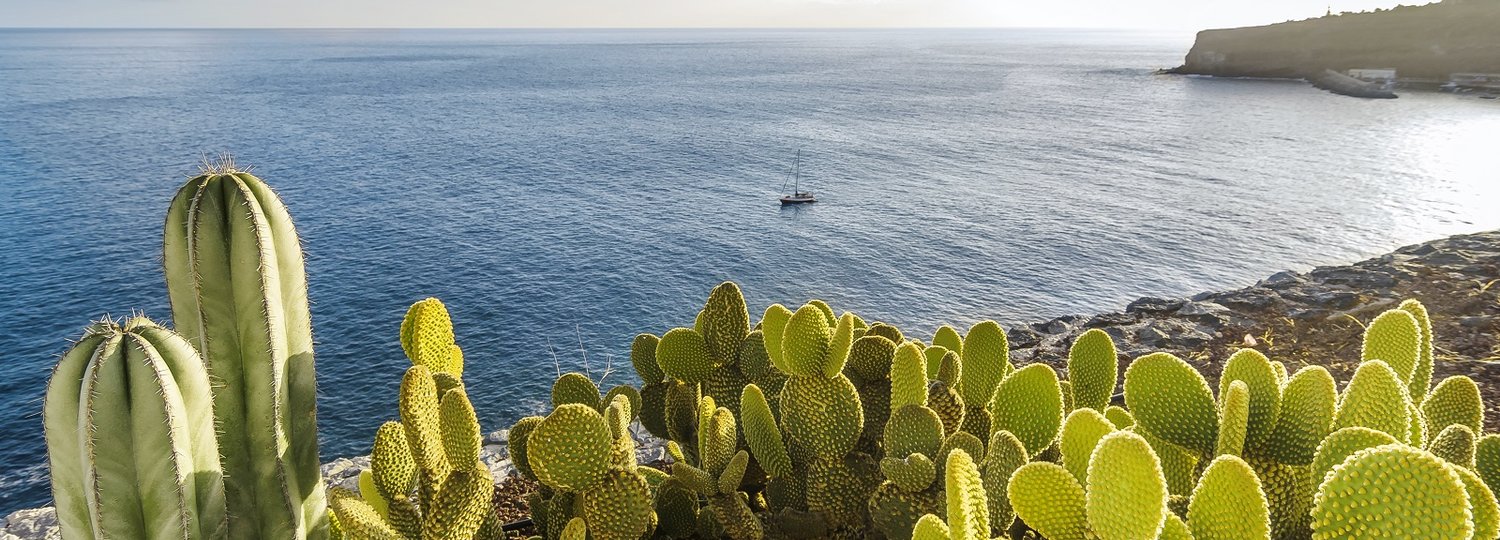 Kreuzfahrt La Gomera