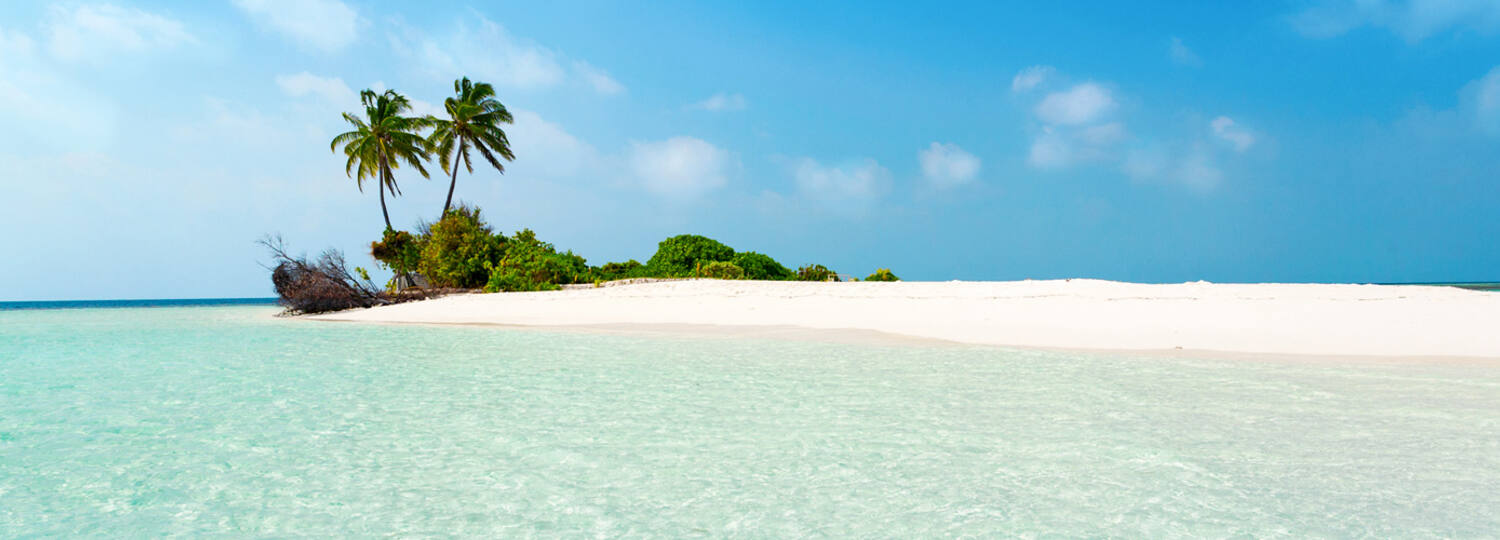 Karibik Insel mit Palmen