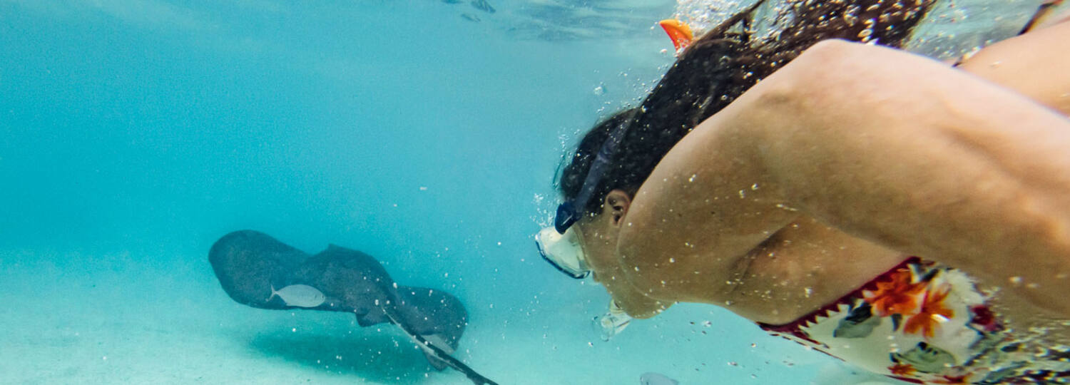 Kreuzfahrt Ausflüge