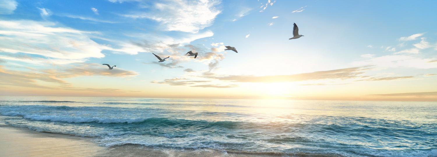 Kreuzfahrt unter 500 Euro