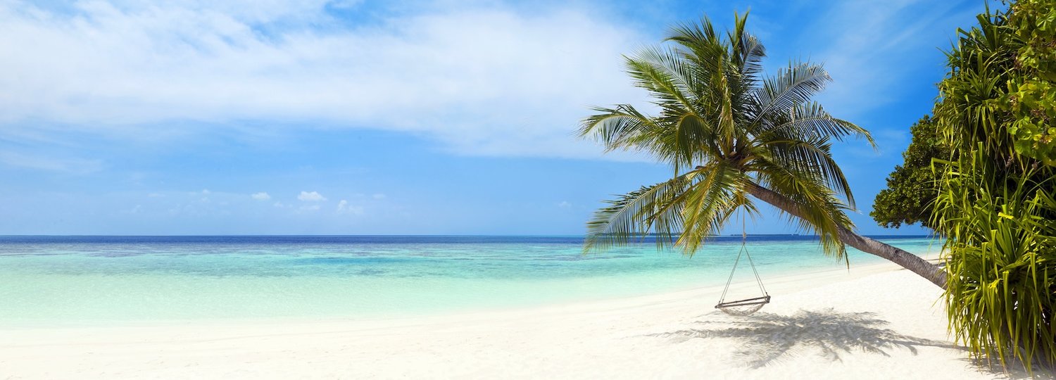 Kreuzfahrt zu den Malediven - Palmenstrand