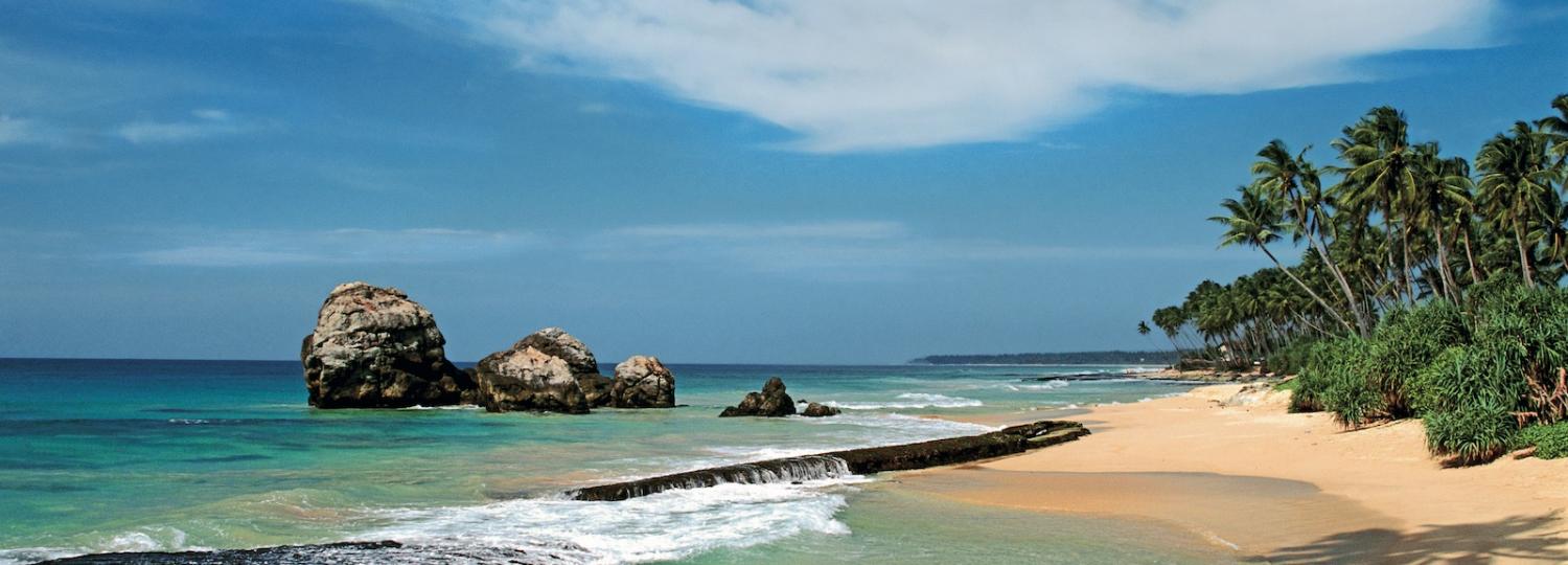 Bild: Kreuzfahrten nach Sri Lanka