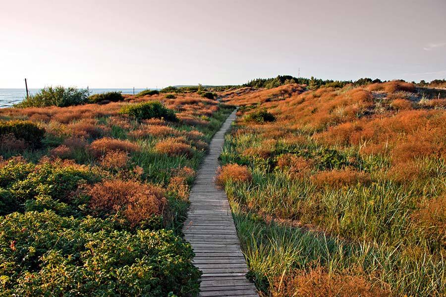  AIDA Route Schärengärten der Ostsee 