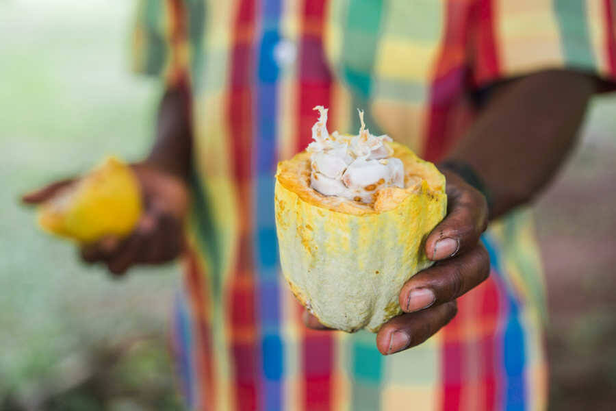 AIDA Route Karibische Inseln ab Dominikanische Republik Termine & Preise