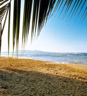 Kreuzfahrt Mit Dialyse Was Patienten Beachten Sollten