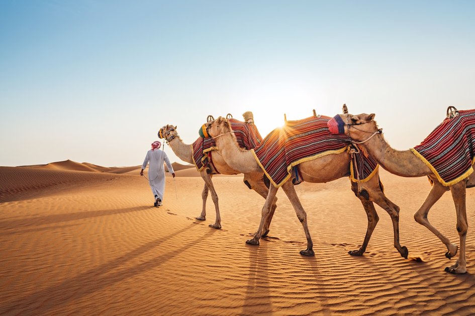 abu dhabi mit dem fahrrad aida