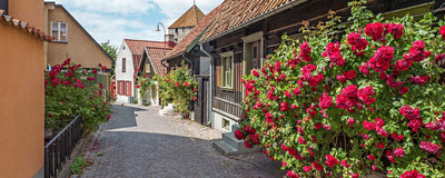  Termine & Preise Bildidee 