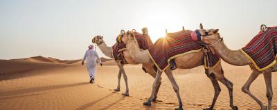  Kreuzfahrt & Badeurlaub (Hotel): Günstige Kombireisen mit AIDA Motiv 