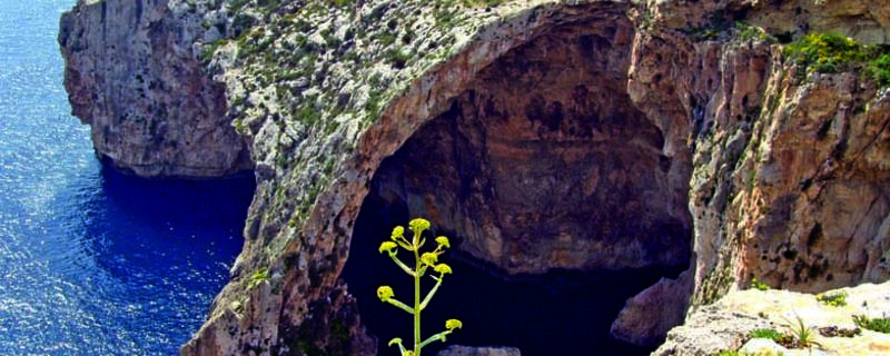 AIDA Ausflug zur Blauen Grotte auf Malta