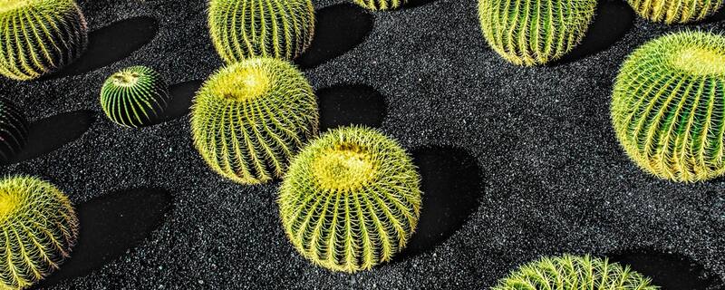 Ausflug auf Lanzarote