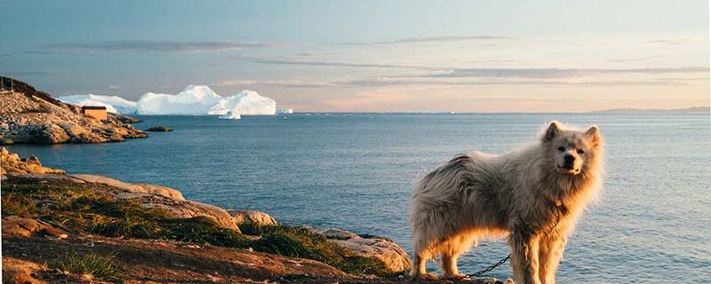 AIDA Ausflug ab Ilulissat / Grönland