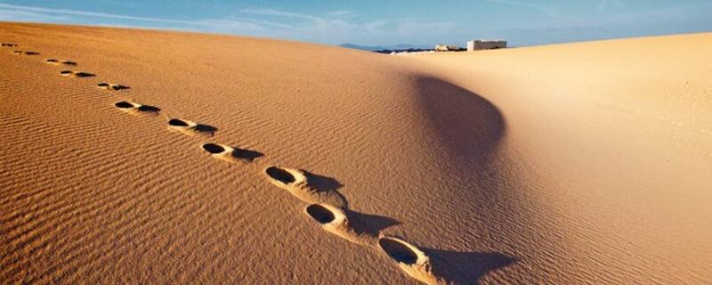 Ausflug auf Fuerteventura