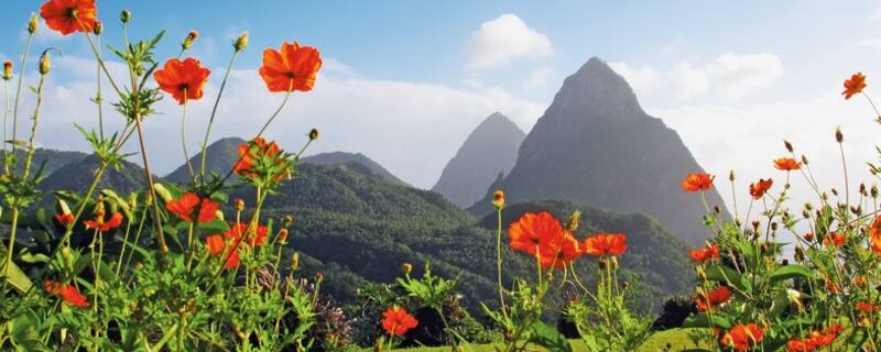 Ausflug auf St. Lucia