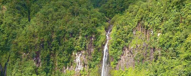 AIDA Ausflug auf Guadeloupe: Canyoning: Adrenalin pur