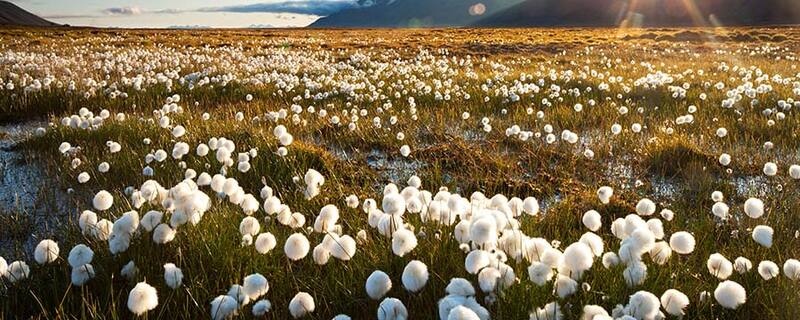 AIDA Ausflug auf Spitzbergen: Arktische Herausforderung in der Gletscherlandschaft